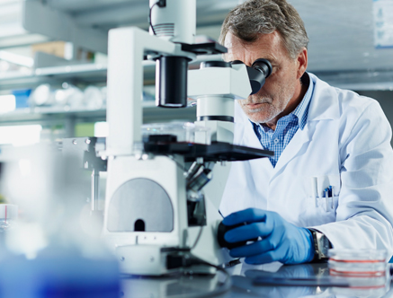 mosen qualified plants